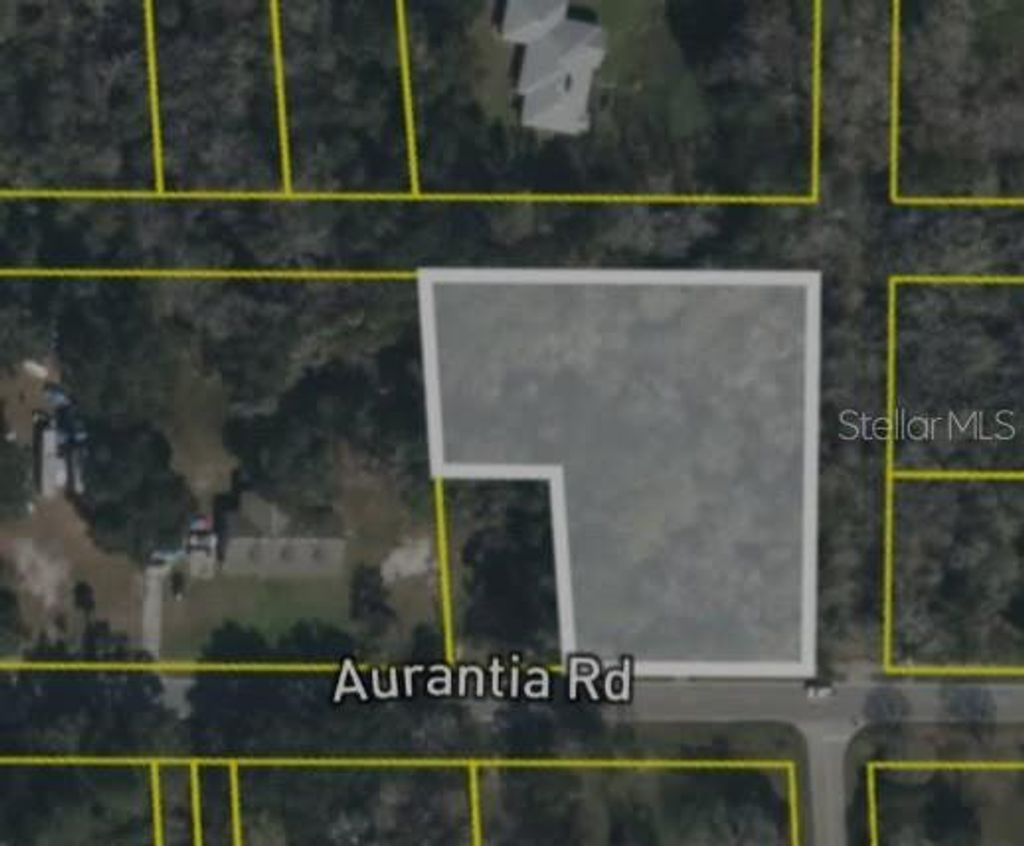 Photo of 4060 Aurantia Road, Mims, FL 32754 (MLS # O6411058)