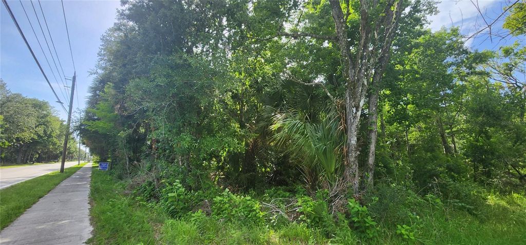 Photo of 4060 Aurantia Road, Mims, FL 32754 (MLS # O6411058)