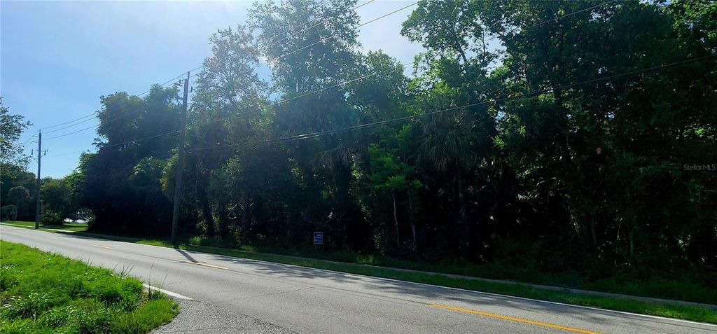 Photo of 4060 Aurantia Road, Mims, FL 32754 (MLS # O6411058)