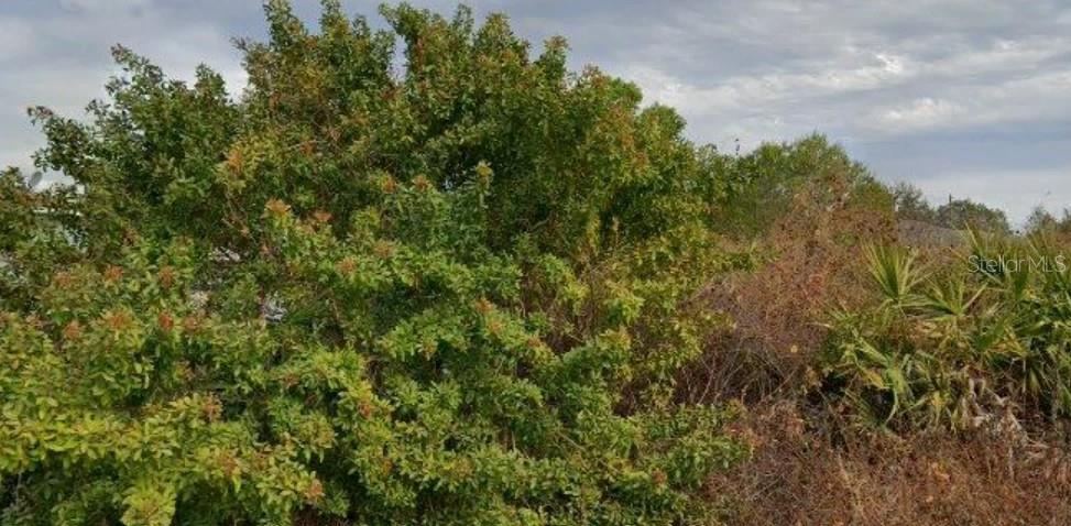 Photo of 6010 Elaine Avenue N, Lehigh Acres, FL 33971 (MLS # L4965217)