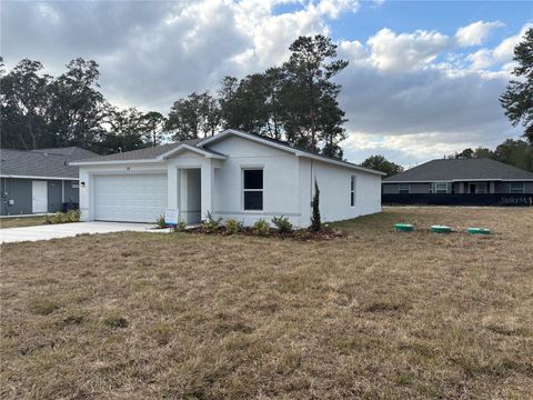 A home in OCKLAWAHA