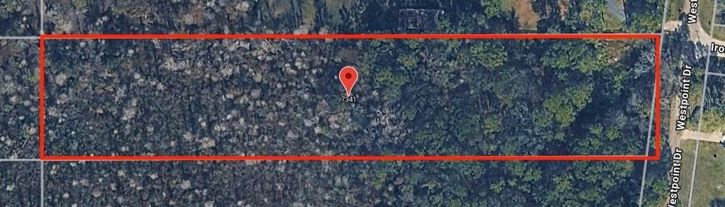 Photo of 7341 Westpoint Drive, Wesley Chapel, FL 33544 (MLS # TB8523807)