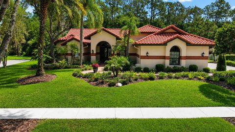 Photo of 8944 Magnolia Chase Circle, Tampa, FL 33647 (MLS # TB8520127)