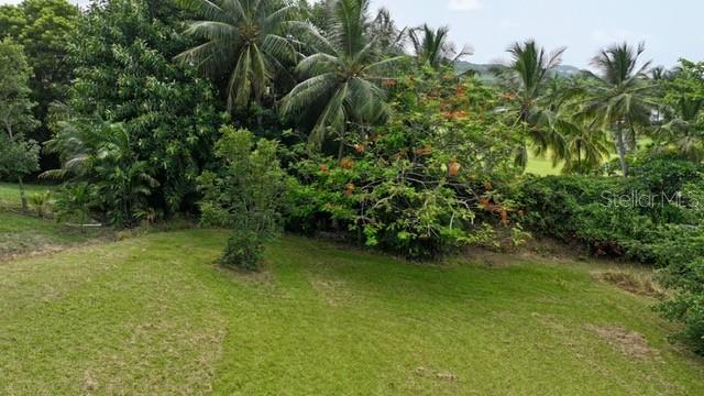 HACIENDA MARGARITA - Residential