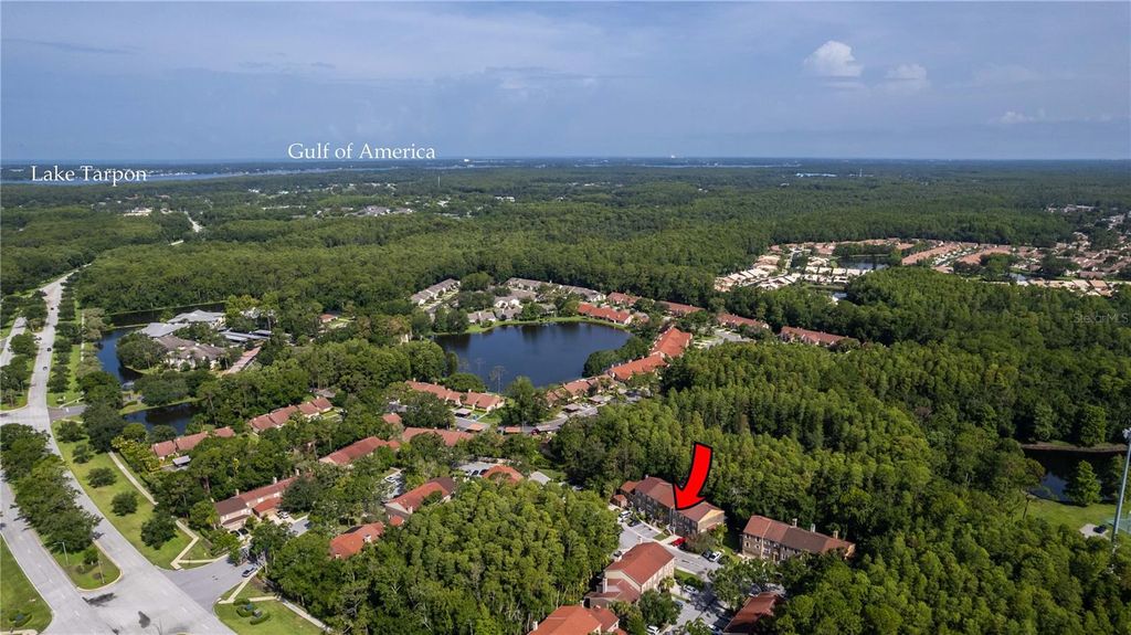 Photo of 4117 Daventry Lane, Palm Harbor, FL 34685 (MLS # TB8402978)