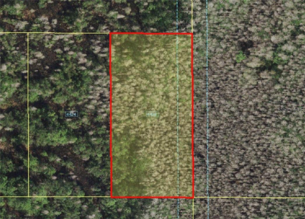 HOLOPAW GROVES ROAD