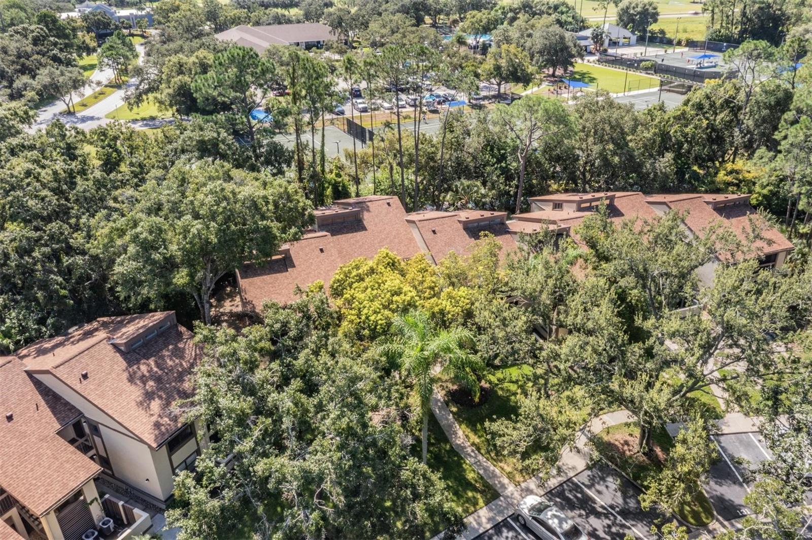 EAST LAKE WOODLANDS WOODLAKE RUN - Residential