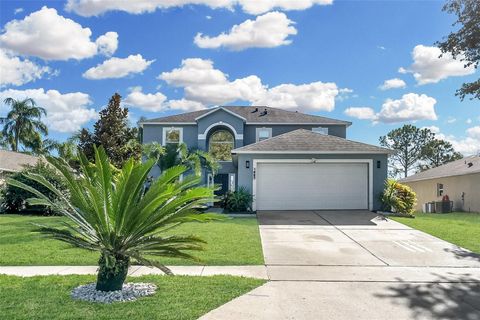 A home in APOPKA