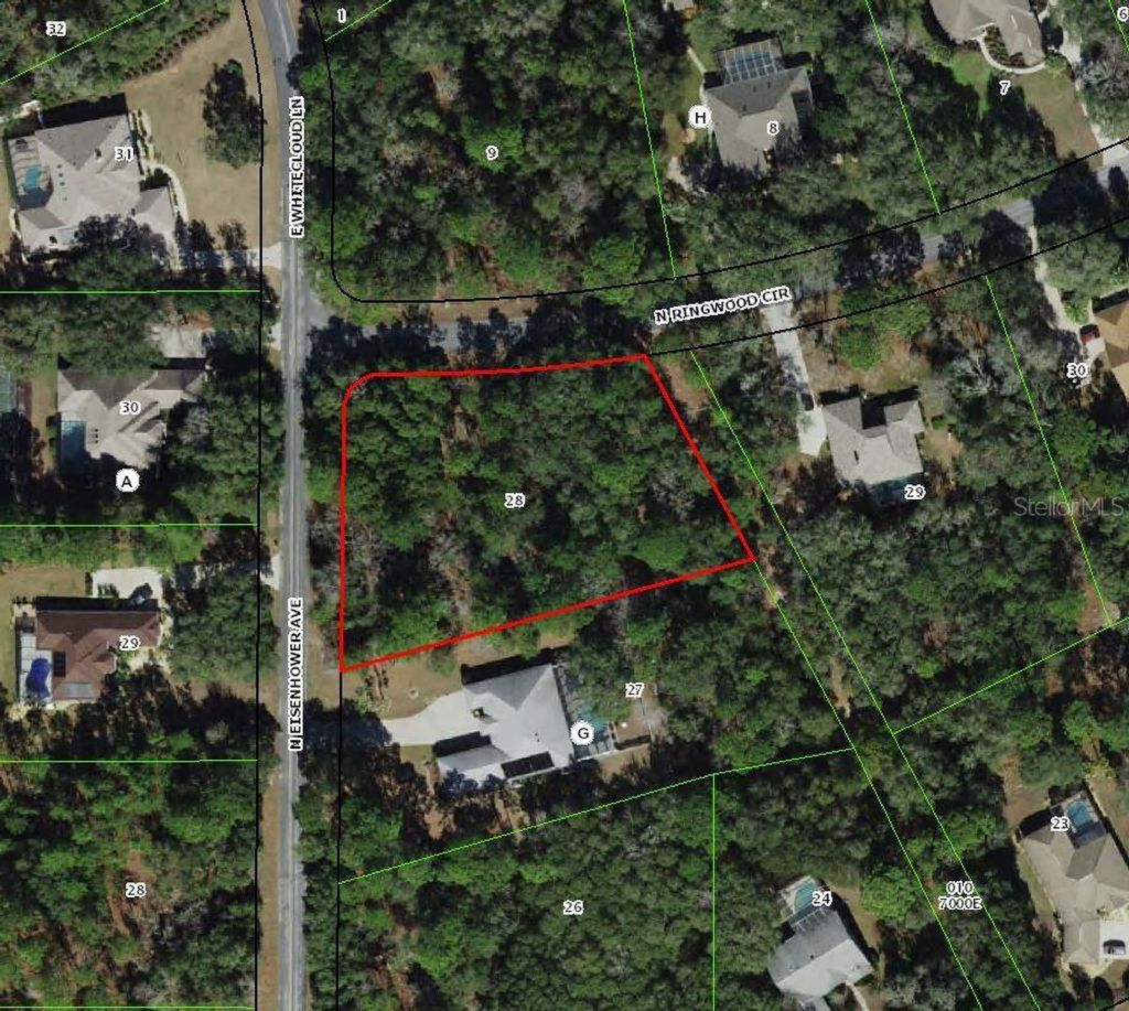 Photo of 4001 N Ringwood Circle, Hernando, FL 34442 (MLS # TB8477771)