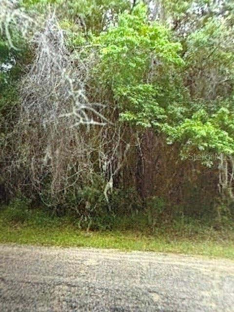 Photo of Walton, Dunnellon, FL 34434 (MLS # TB8532529)