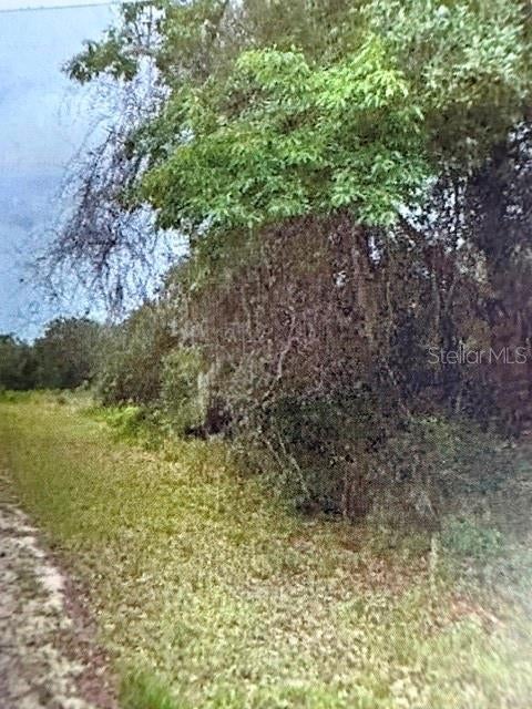 Photo of Walton, Dunnellon, FL 34434 (MLS # TB8532529)