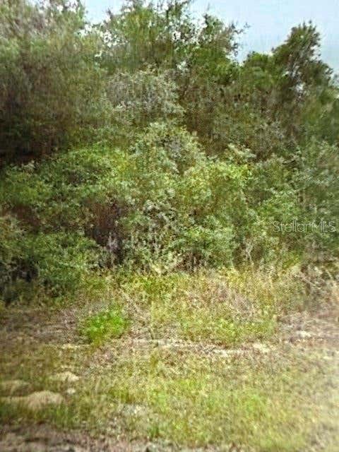 Photo of Walton, Dunnellon, FL 34434 (MLS # TB8532529)