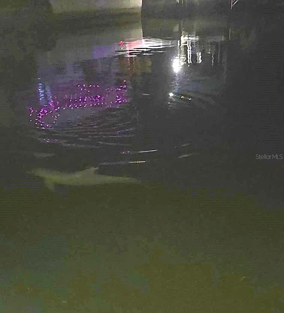 KILLARNEY SHORES GULF - Residential