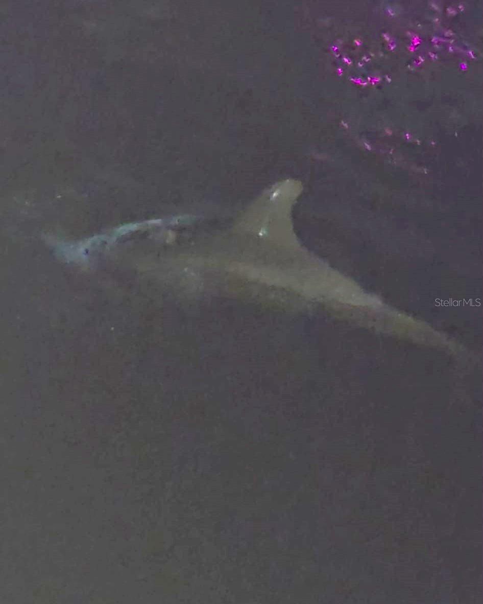 KILLARNEY SHORES GULF - Residential