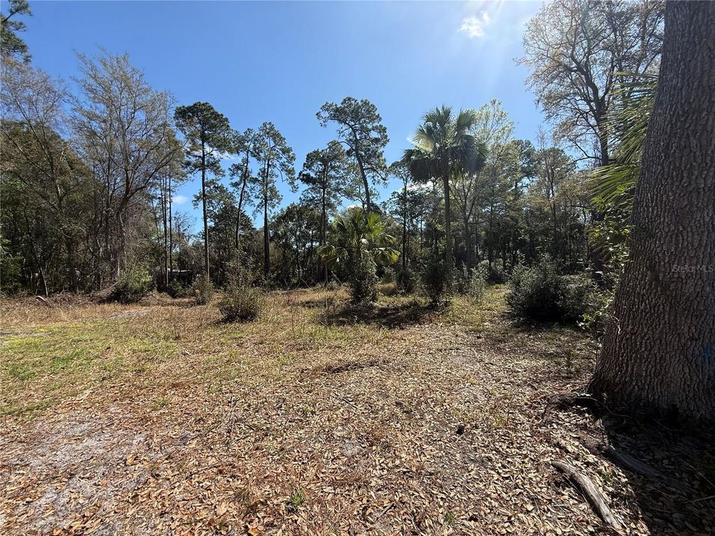 Photo of Tbd Pennsylvania Street, Paisley, FL 32767 (MLS # V4947809)