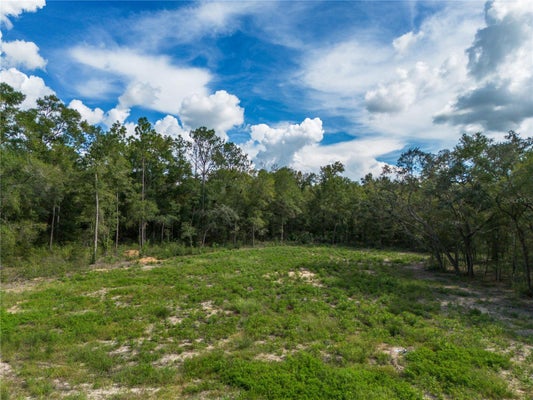 NE 82ND PL, BRONSON, FL 32621 - Image 8d83018785e65aacbc3820188ca2a30d/1858997993