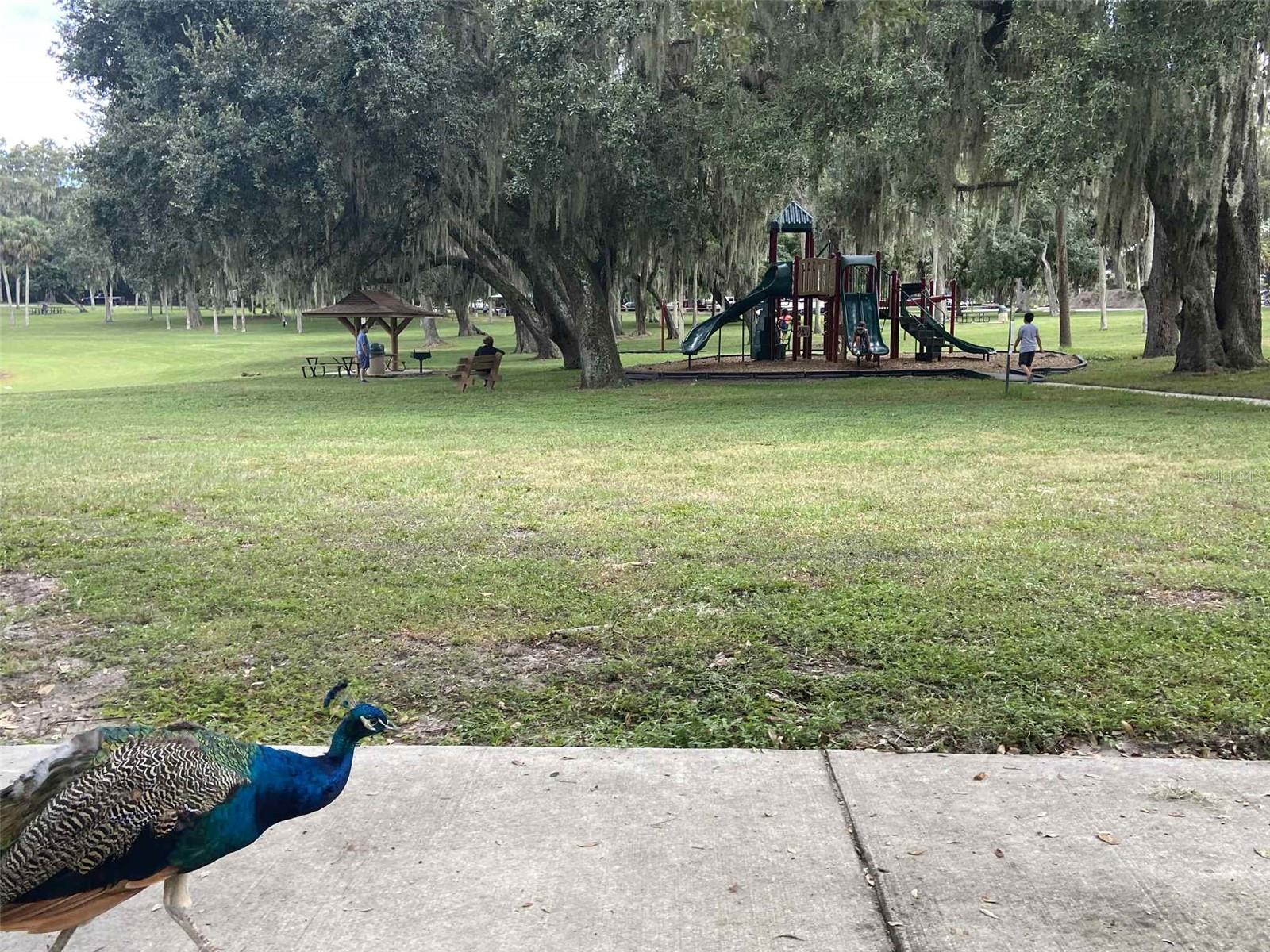 TWIN LAKE FOREST - Residential