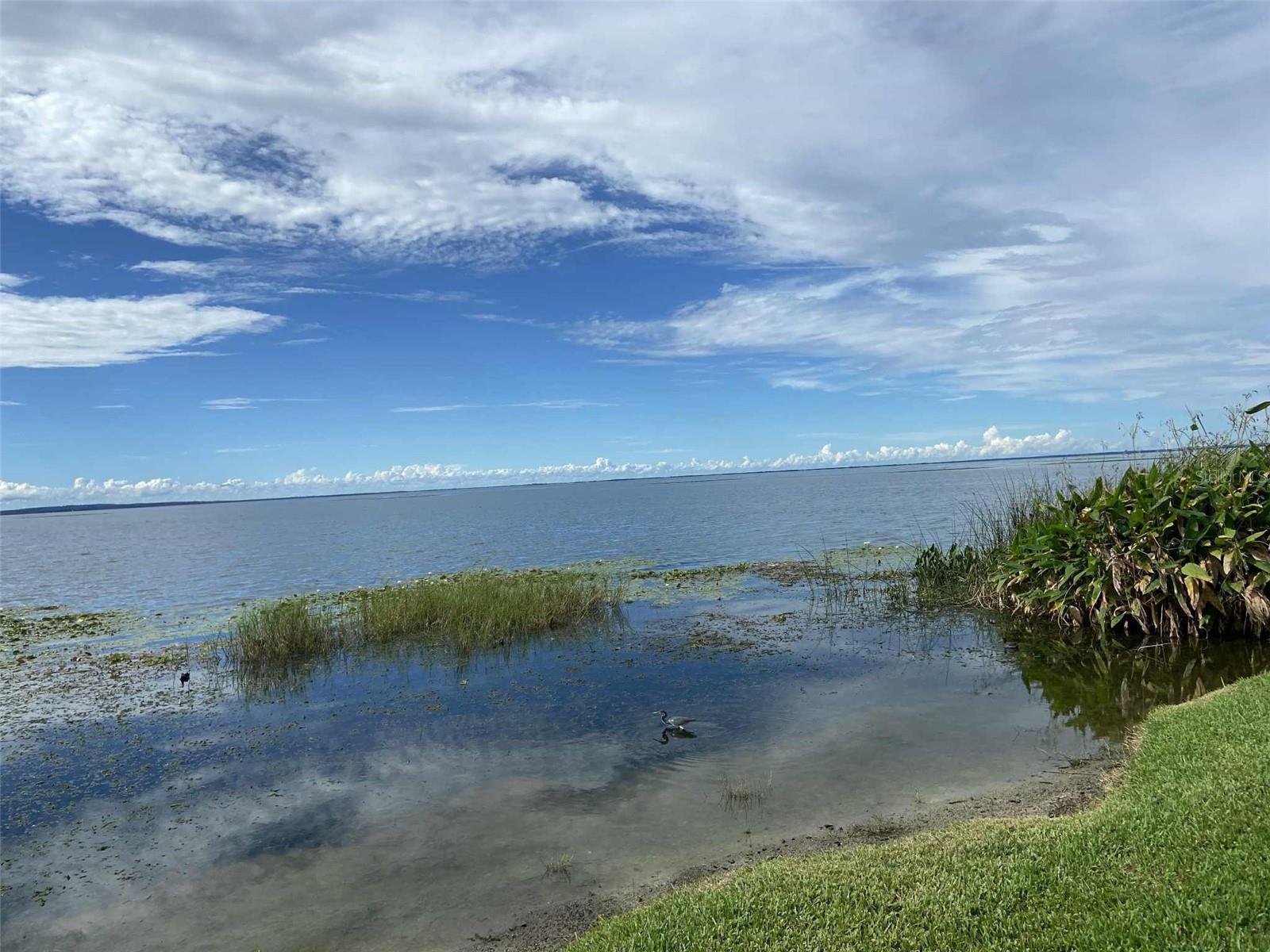 TWIN LAKE FOREST - Residential