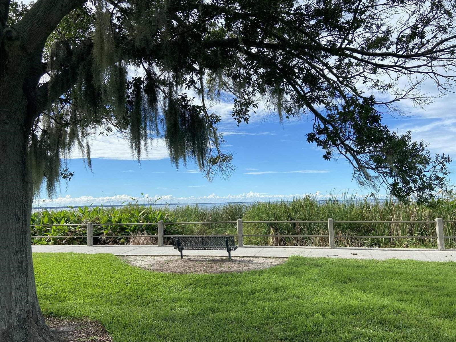 TWIN LAKE FOREST - Residential