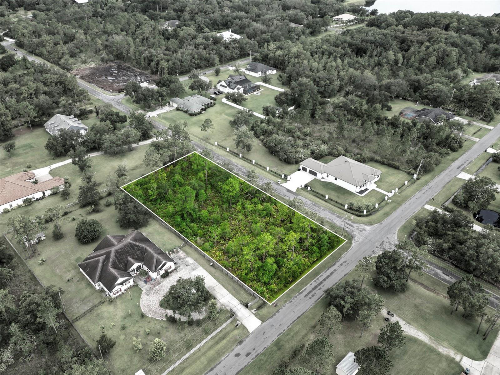 Discover the perfect canvas for your dream home on this 1.03-acre parcel in the desirable Wedgefield community. This untouched, buildable lot is zoned for one single-family residence and offers plenty of space to create your ideal lifestyle. Located in a peaceful setting with an optional HOA, you’ll enjoy the freedom to design without unnecessary restrictions — all while being just a short drive from major highways, shopping, dining, and Orlando’s key attractions.
The property is currently home to a gopher tortoise, a protected species in Florida. However, with the proper contacts and permissions, relocation can be arranged in compliance with state guidelines. Leaving the gopher in its place, will still allow for plenty of building space (there is a 25 ft buffer around the tortoise hole). This is a wonderful opportunity to build in a growing community where there’s room to breathe, grow, and truly make it your own.