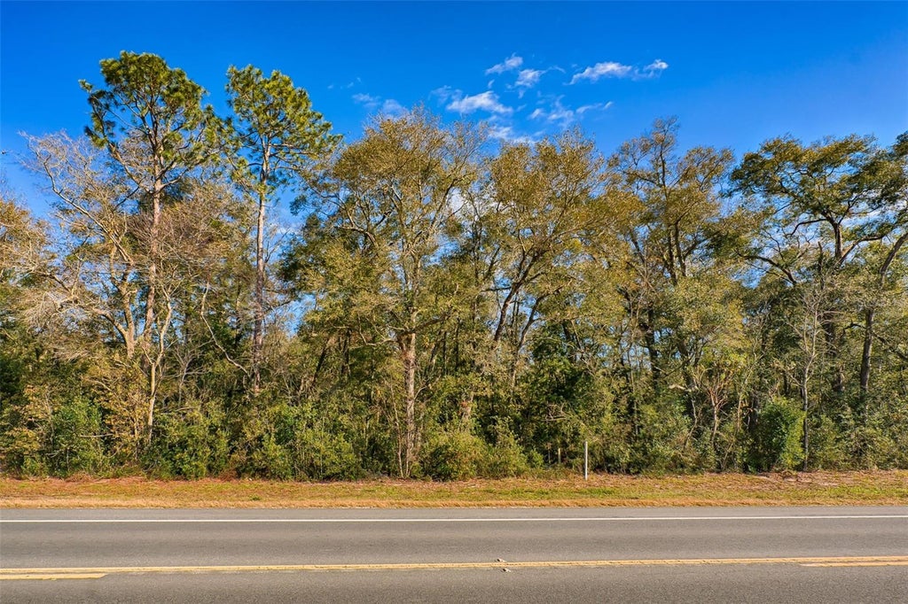 Photo of S Us Hwy 129, Bell, FL 32619 (MLS # S5153899)