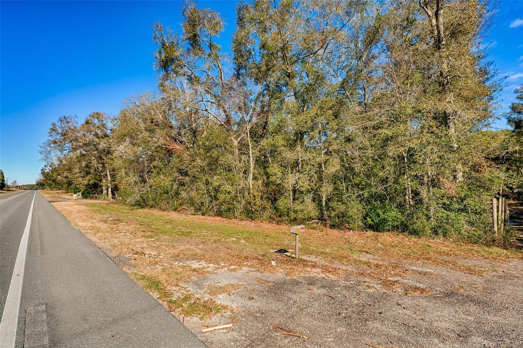 Photo of S Us Hwy 129, Bell, FL 32619 (MLS # S5153899)