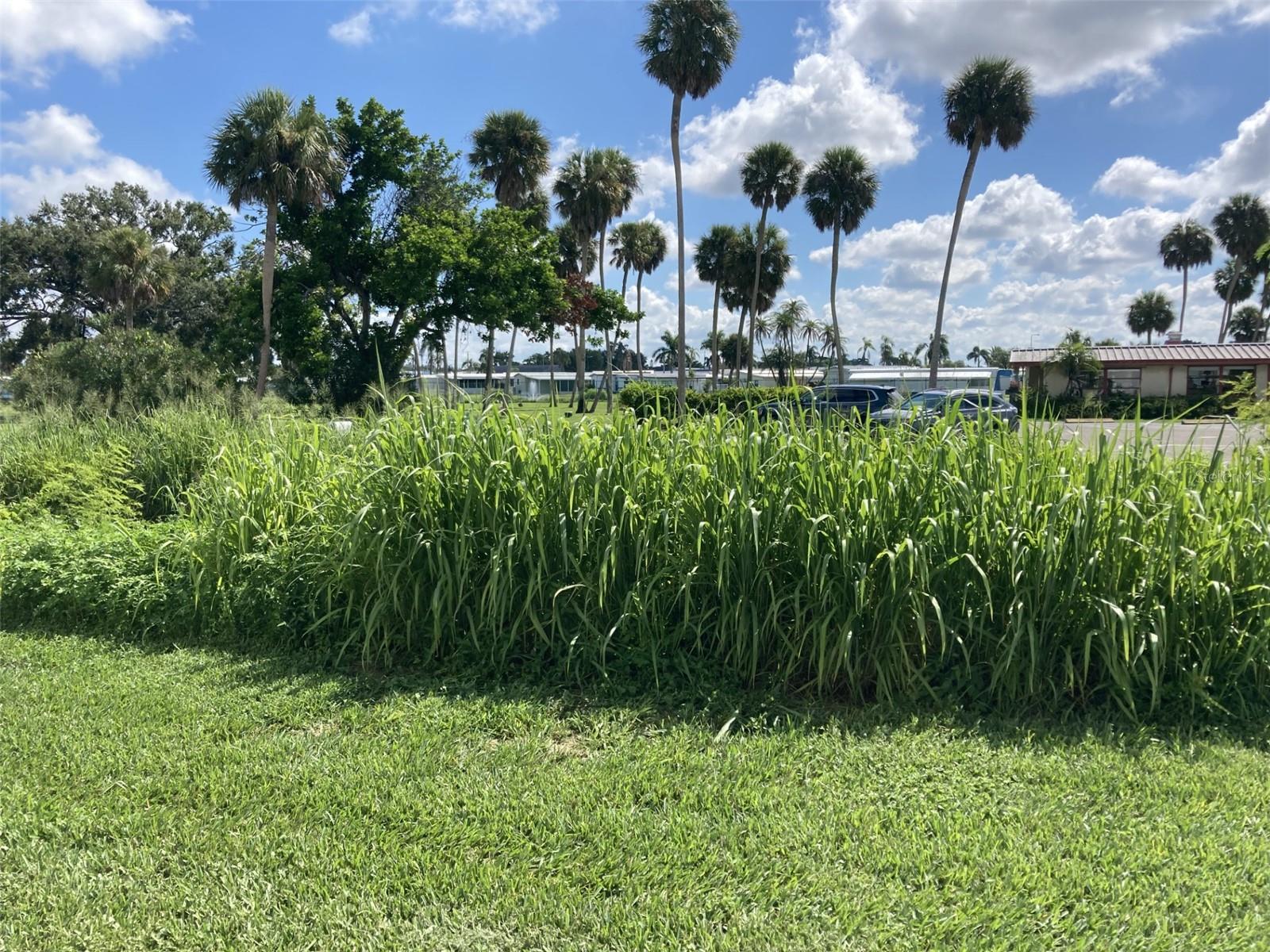 BURGUNDY UNIT ONE - Residential