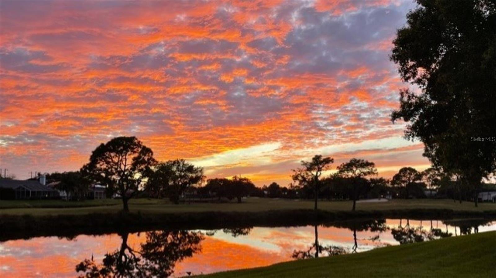 SANDRINGHAM PLACE - Residential