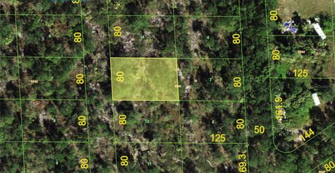 320 N BONITA LANE PUNTA GORDA FL 33982