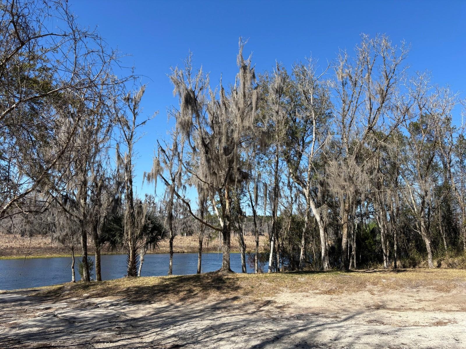 TOBACCO PATCH CAMPSITES - Residential