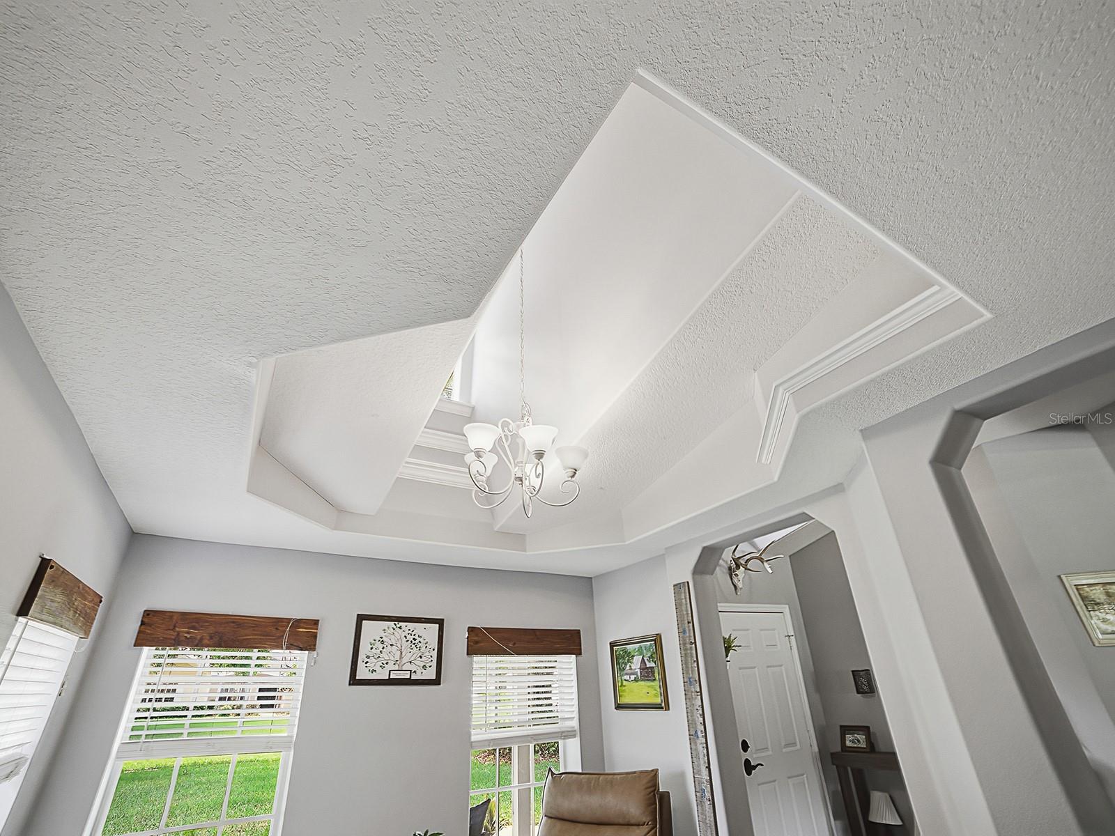 LAURELS MOUNT DORA - Residential