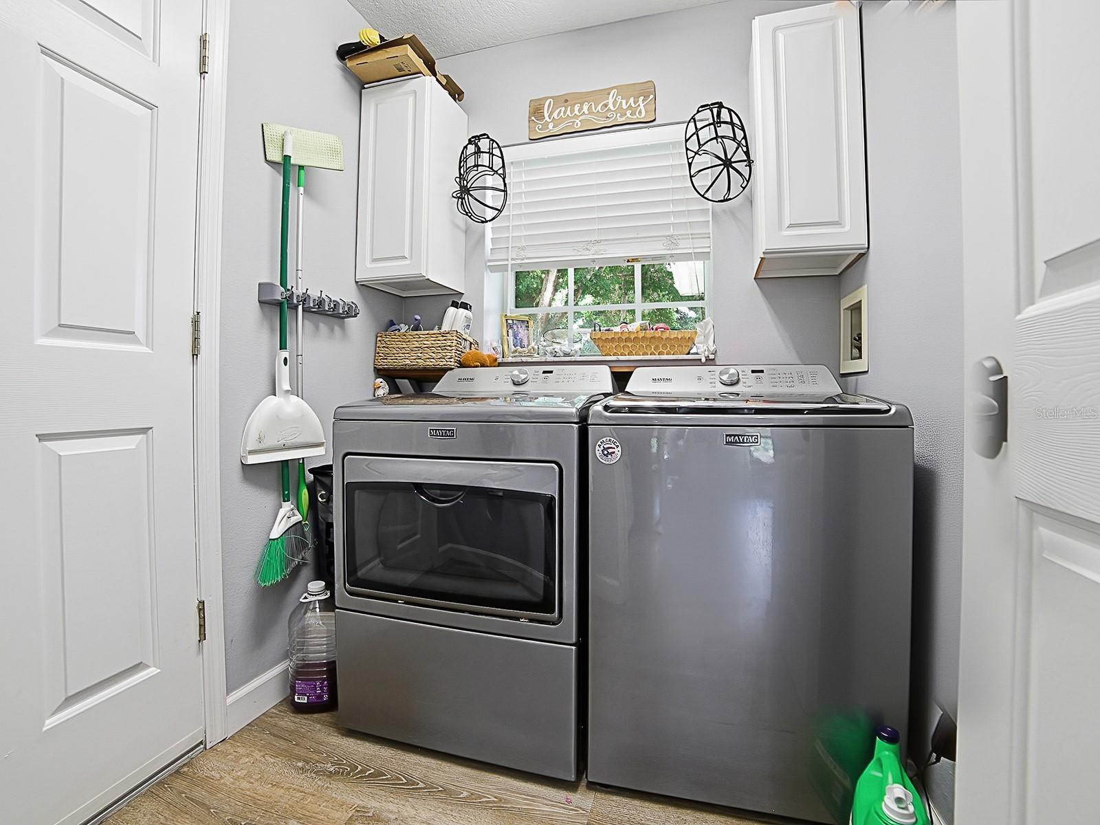 LAURELS MOUNT DORA - Residential