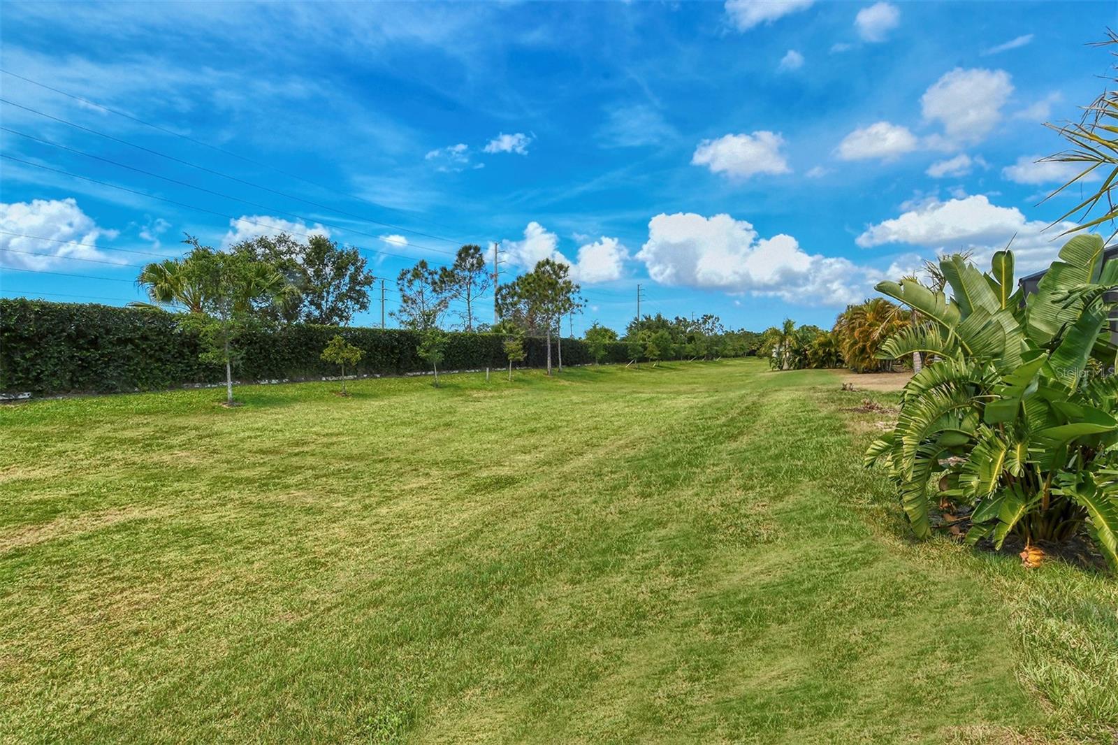 WILDGRASS - Residential