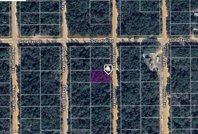 Seller financing available. 15percent discount off the total price with purchase of 3 or more lots. Seller finance price $9,900-$900 down-12percent interest-5 year term-$200/month payment. (1) of (40) BUILDING LOTS FOR SALE BY THE SAME SELLER. This lot is Zoned for MOBILE or SITE BUILT HOMES w/NO HOA. High and Dry, BUILDABLE lot located in INTERLACHEN LAKES ESTATES. Buy this land as an investment with low taxes, buy and hold with no timeline to build, or contact us about a land/home package and start building today. Tax ID: 25-09-24-4075-1100-0340