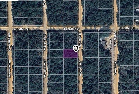 LOT 22 LOUISE AVENUE INTERLACHEN FL 32148