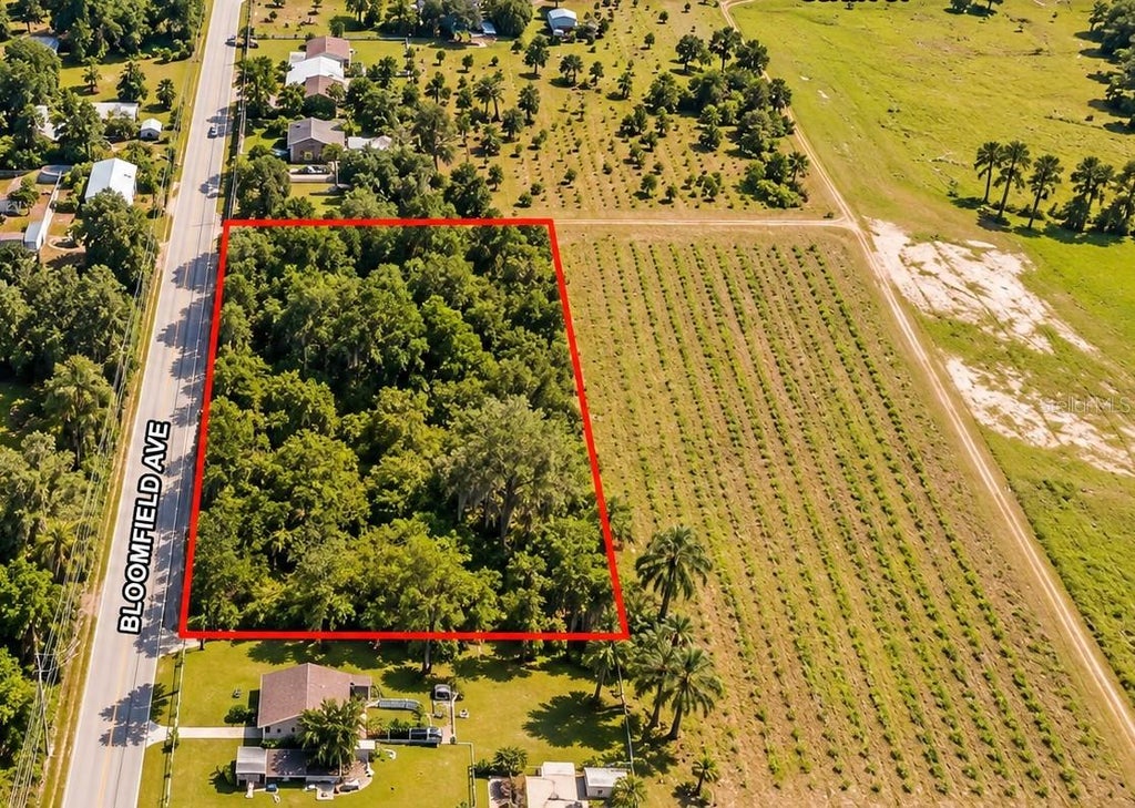 Photo of 26714 Bloomfield Avenue, Yalaha, FL 34797 (MLS # G5118864)
