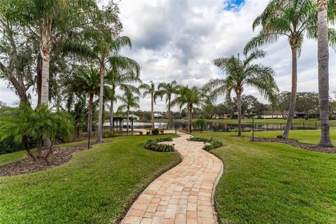 A home in LITHIA