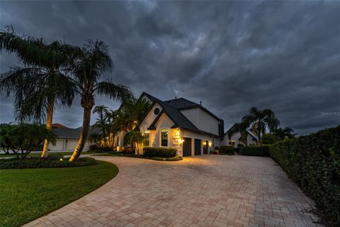 A home in LITHIA