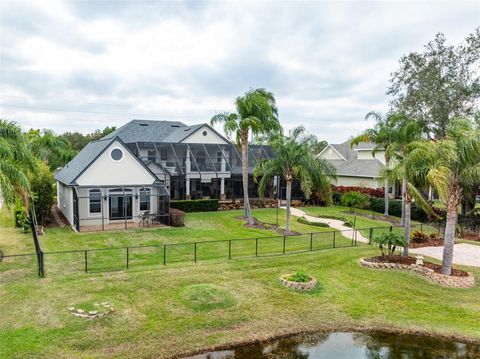 A home in LITHIA