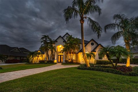 A home in LITHIA