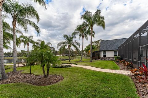 A home in LITHIA