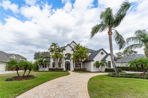 A home in LITHIA