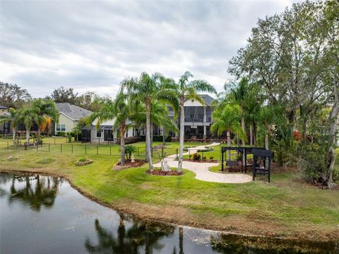 A home in LITHIA