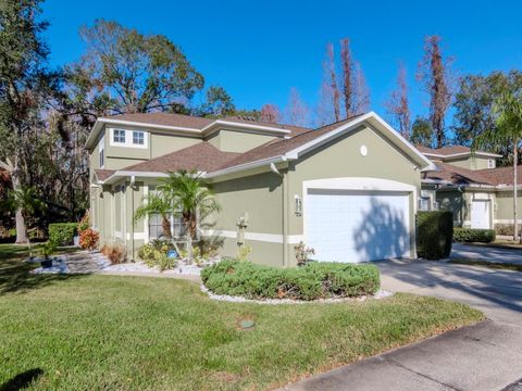 8811 CASABLANCA WAY TAMPA FL 33626