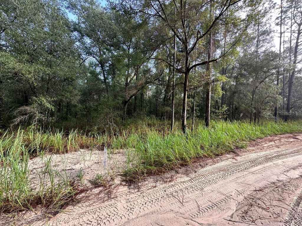 Photo of SW 40th Street, Ocala, FL 34480 (MLS # O6377663)