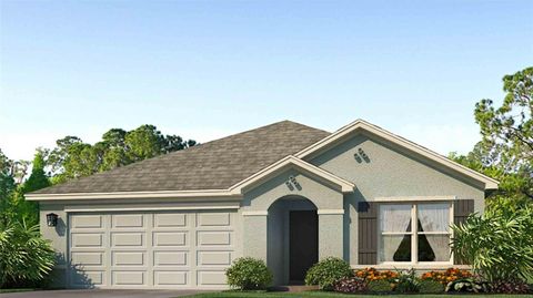 Photo of 5827 Silver Moonlight Drive, Palmetto, FL 34221 (MLS # A4684486)