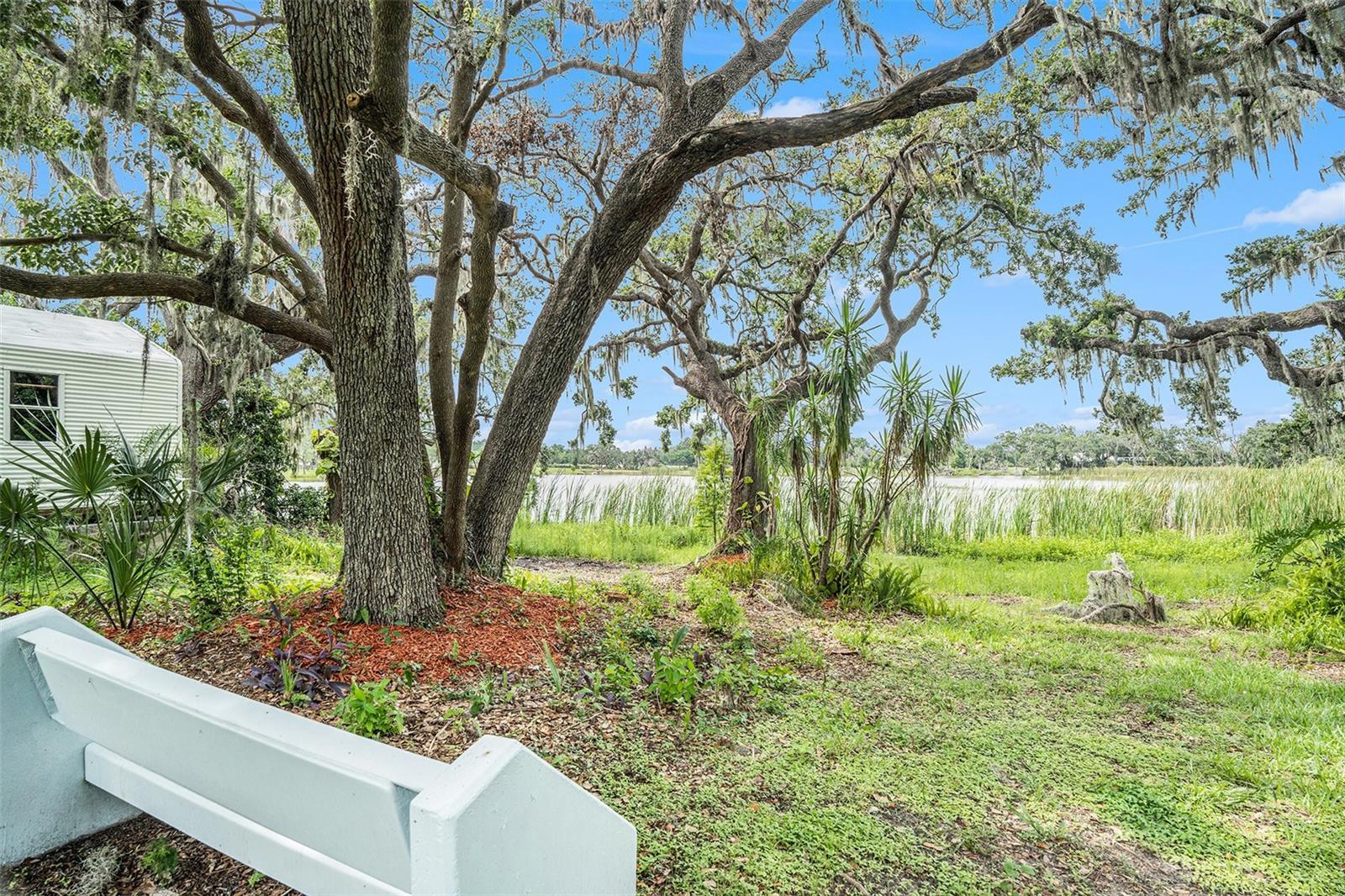 UNPLATTED - Residential Lease