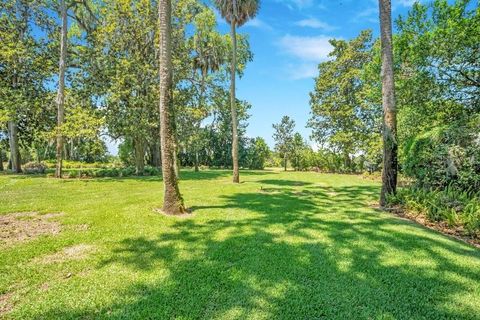 Tiny photo for 14365 SE Highway 42, Weirsdale, FL 32195 (MLS # O6415587)