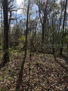 GIL CREST FARM SUB - Land