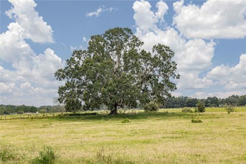 Tiny photo for 11156 County Road 209, Oxford, FL 34484 (MLS # G5063797)